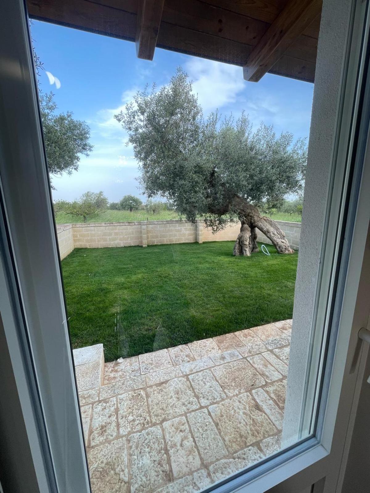 Masseria Fanizzi コンヴェルサーノ 部屋 写真